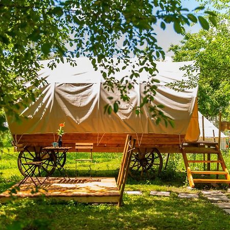 Dragonfly Gardens - The Wagons Hotel Brasov Exterior photo