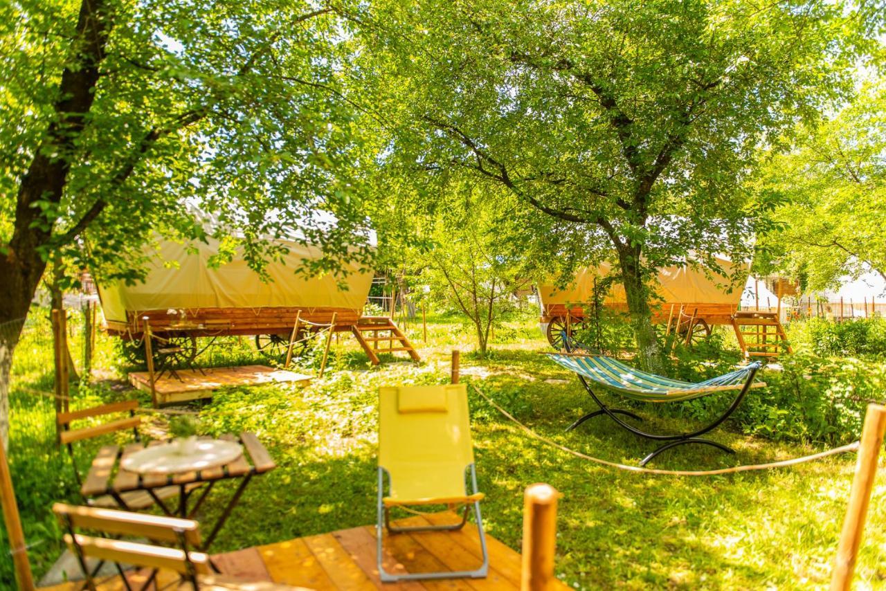 Dragonfly Gardens - The Wagons Hotel Brasov Exterior photo