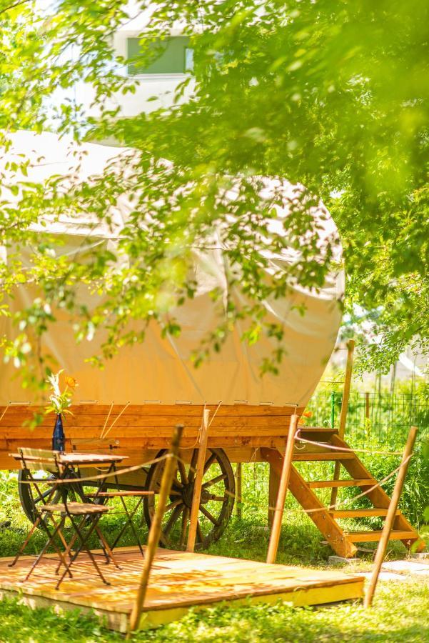 Dragonfly Gardens - The Wagons Hotel Brasov Exterior photo
